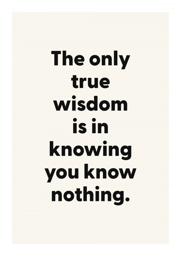 The only true wisdom is in knowing you know nothing.