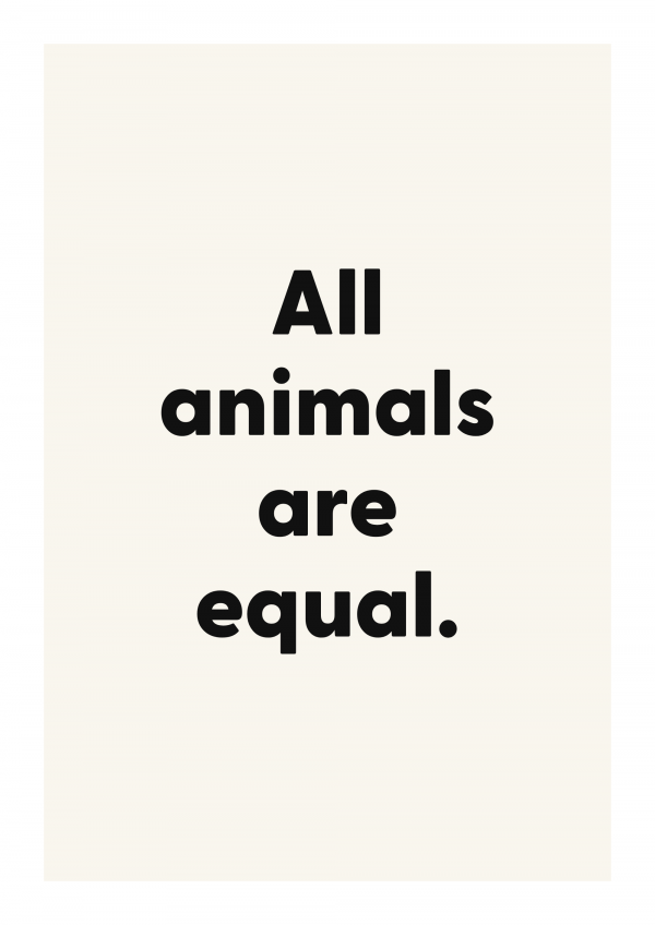 All animals are equal.
