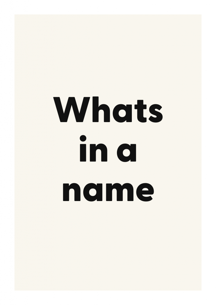 Whats in a name literary quote poster with classic typography on ivory background