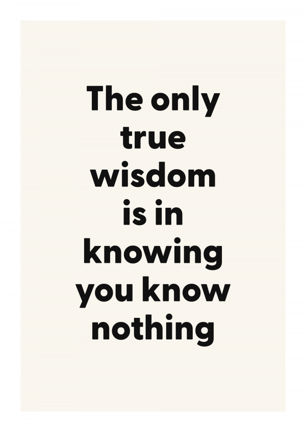 The only true wisdom is in knowing you know nothing