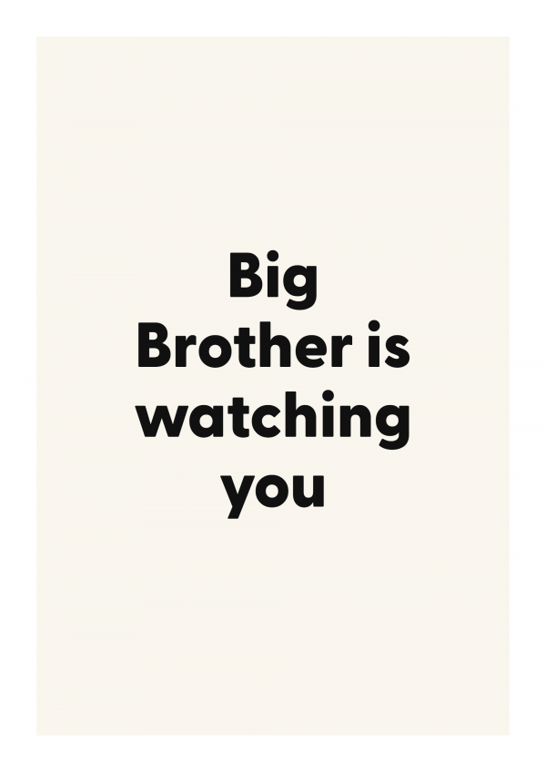 Big Brother is watching you